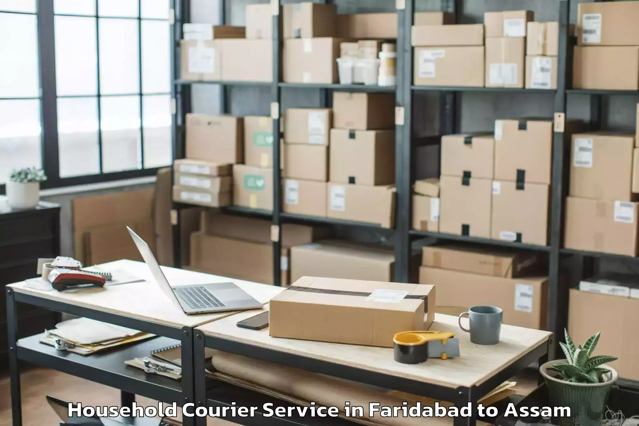 Discover Faridabad to Barpathar Household Courier